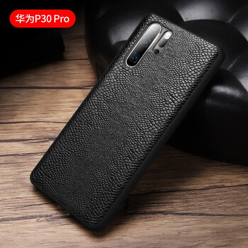 s100pro