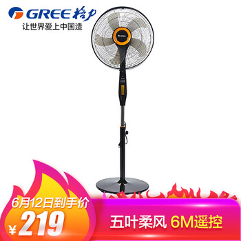 格力（GREE） FD-40X63Bh5 電風(fēng)扇