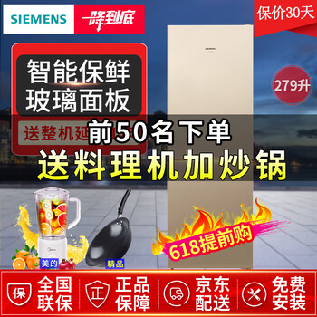 西門子雙門冰箱