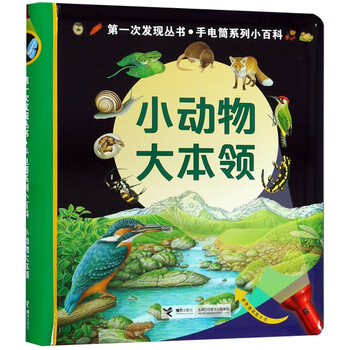大手電筒