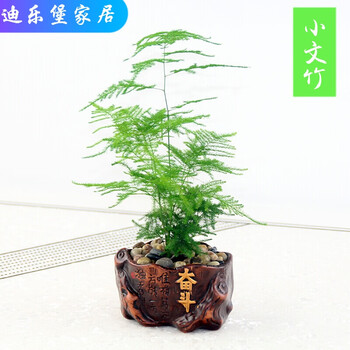 田園風(fēng)花瓶，營造浪漫家居生活