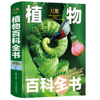植物手繪