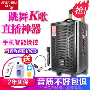 山水（SANSUI） SA5-08 音箱/音響 山水音響+單麥克風(fēng)+無線耳麥話筒