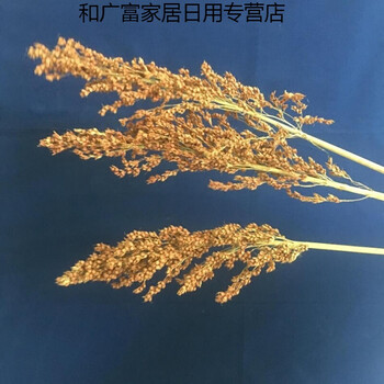 精致田園風(fēng)，讓家居生活更溫馨