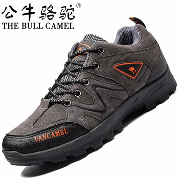 公牛駱駝（THE BULL CAMEL）男士PT2129灰色 41