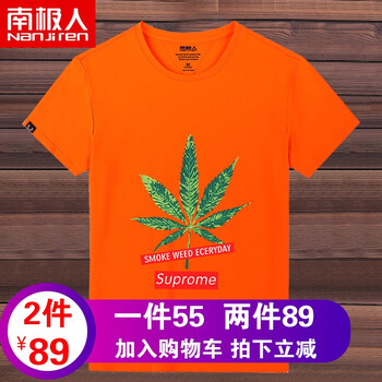 南極人（Nanjiren） 短袖 男士T恤 橙色/字母綠葉 