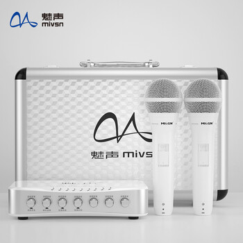 魅聲m300