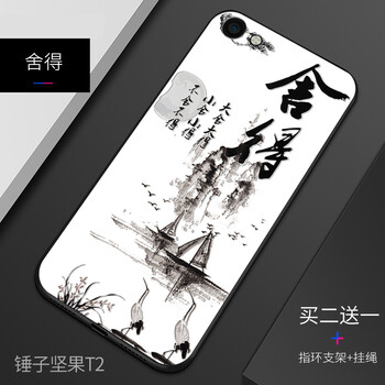堅果t2