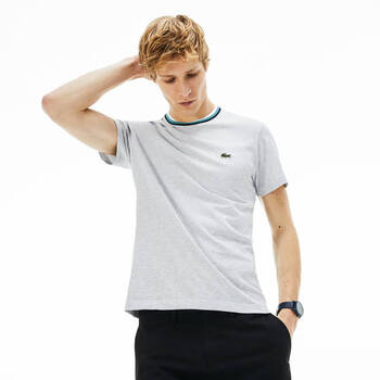 LACOSTE 短袖 男士T恤 CCA灰 