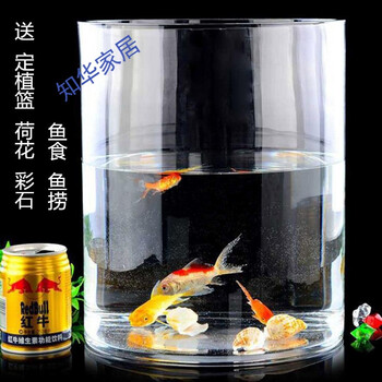之家裝修，玻璃花瓶讓你愛上生活