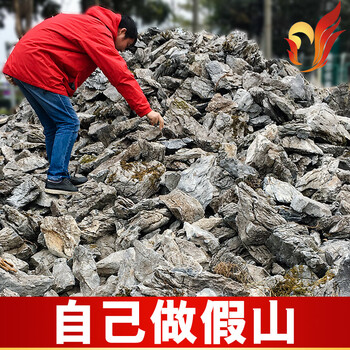 客廳太單調(diào)，創(chuàng)意家居擺件來幫你