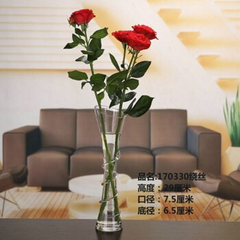 簡(jiǎn)約玻璃花瓶，讓生活不再單調！