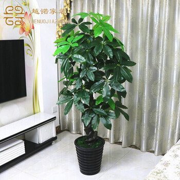 生態(tài)花瓶，打造精致之家