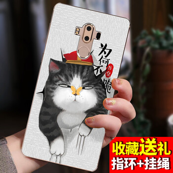中興6寸