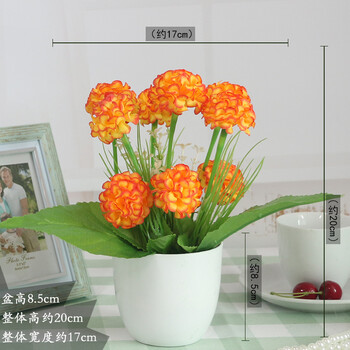 怎么樣,繡球,繡球,花花束,花花束