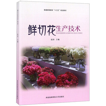 十三五