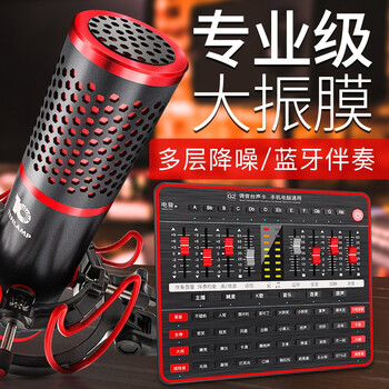 十盞燈  懸掛式 麥克風(fēng) P10-G2聲卡套裝【專(zhuān)業(yè)調音臺】