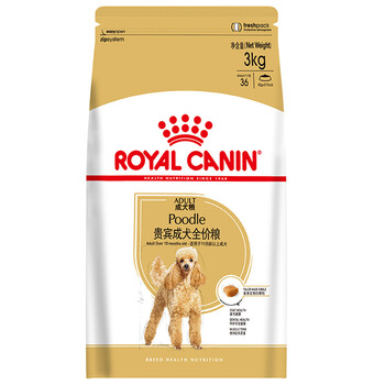 小型寵物犬