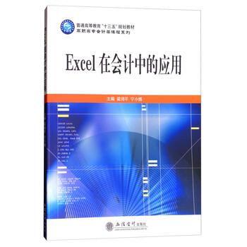 excel在會計中的應用