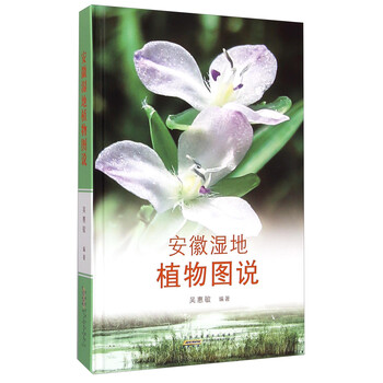 濕地植物