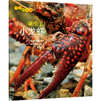 小龍蝦