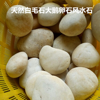 精致家居擺件，為你的浪漫加分
