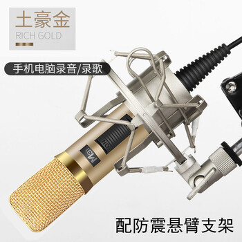 第一眼  手持式，懸掛式 麥克風(fēng) 土豪金送防震懸臂支架