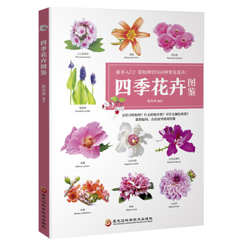 四季花卉