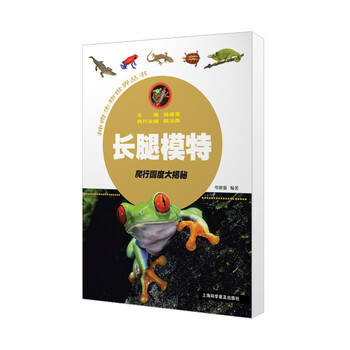 模特