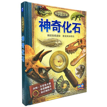 放大鏡