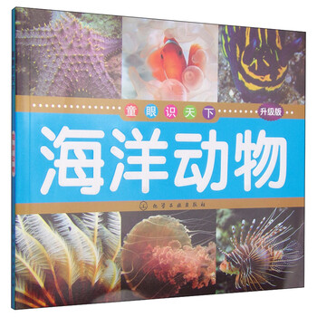海洋動(dòng)物