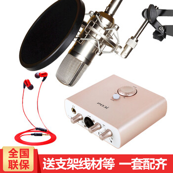 得勝（TAKSTAR）  懸掛式 麥克風(fēng) 標(biāo)配+艾肯mobile R聲卡套裝