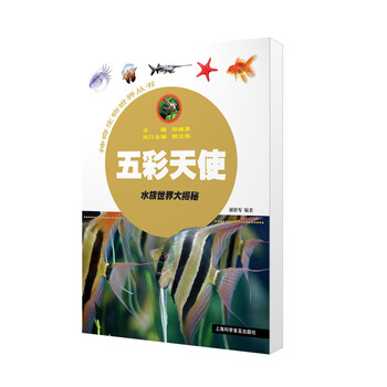 天使