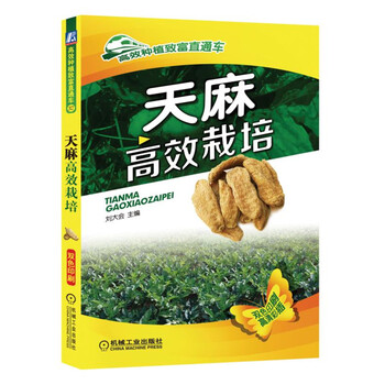 天麻