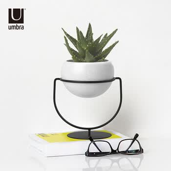 umbra,umbra,����,��ô��