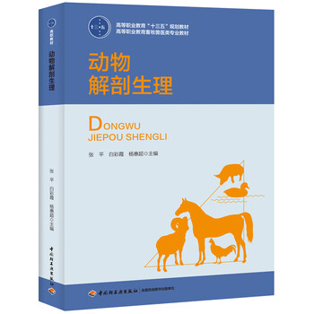 十三五
