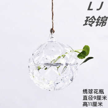 怎么樣,繡球,水繡球