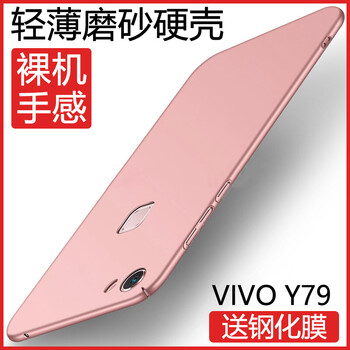 莫迪爾 vivoY73 手機殼/保護套
