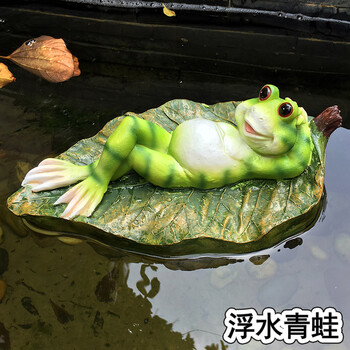 創(chuàng)意,怎么樣,創(chuàng)意,青蛙,青蛙