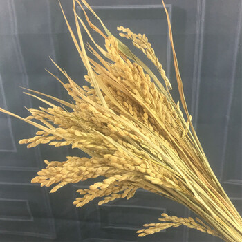 歐式創(chuàng)意花瓶，讓生活更有情調(diào)