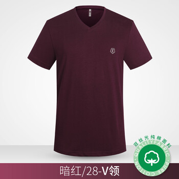 愛登堡（edenbo） 短袖 男士T恤 暗紅色V領(lǐng) 