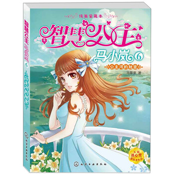 智慧公主