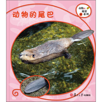 動(dòng)物尾巴