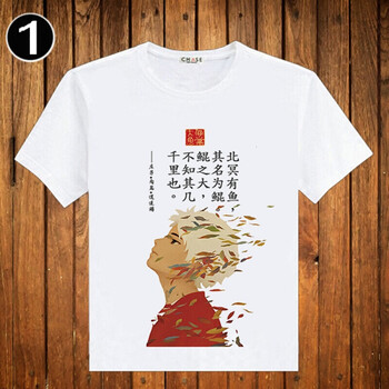 派尼美特 短袖 男士T恤 1 加大