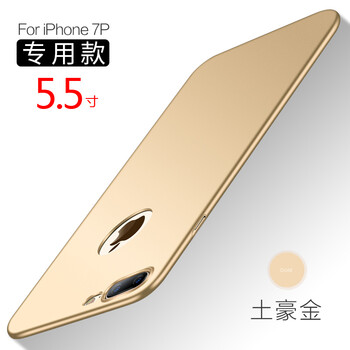 蘋果5標志