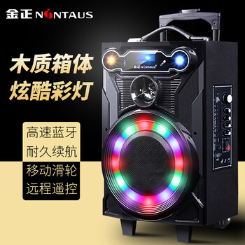 金正（NINTAUS）  音箱/音響 N23-8英寸+雙無(wú)線(xiàn)話(huà)筒