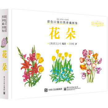 口袋