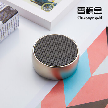 F.L  音箱/音響 香檳金