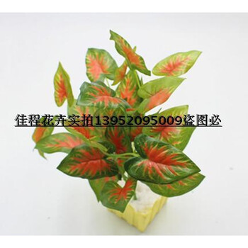 歐式花瓶，為你的家增添藝術