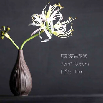 精致花瓶，為你的家增添色彩